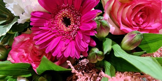 bloemen